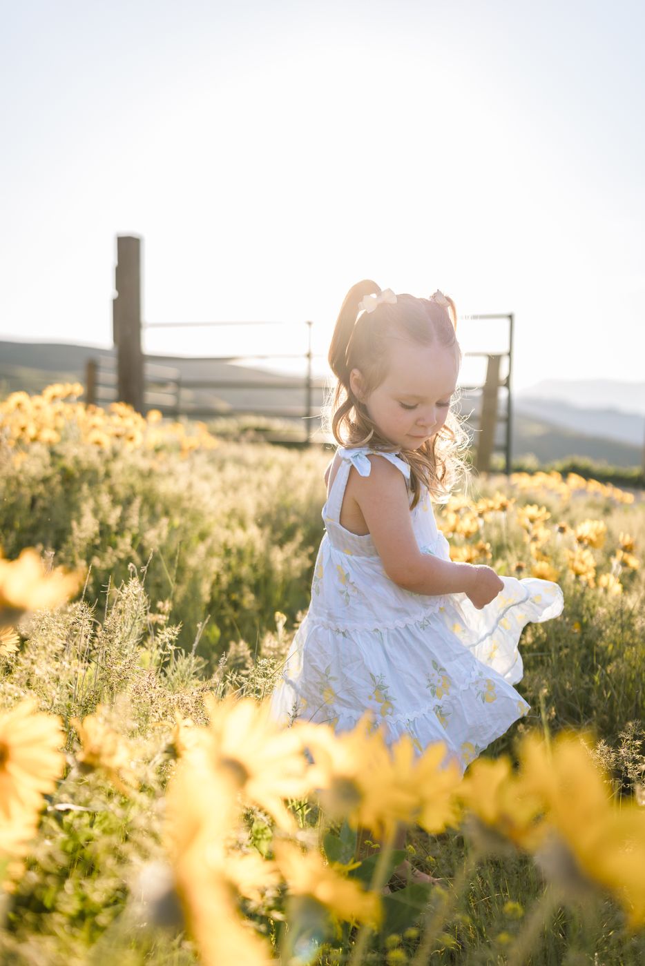 In the wildflowers