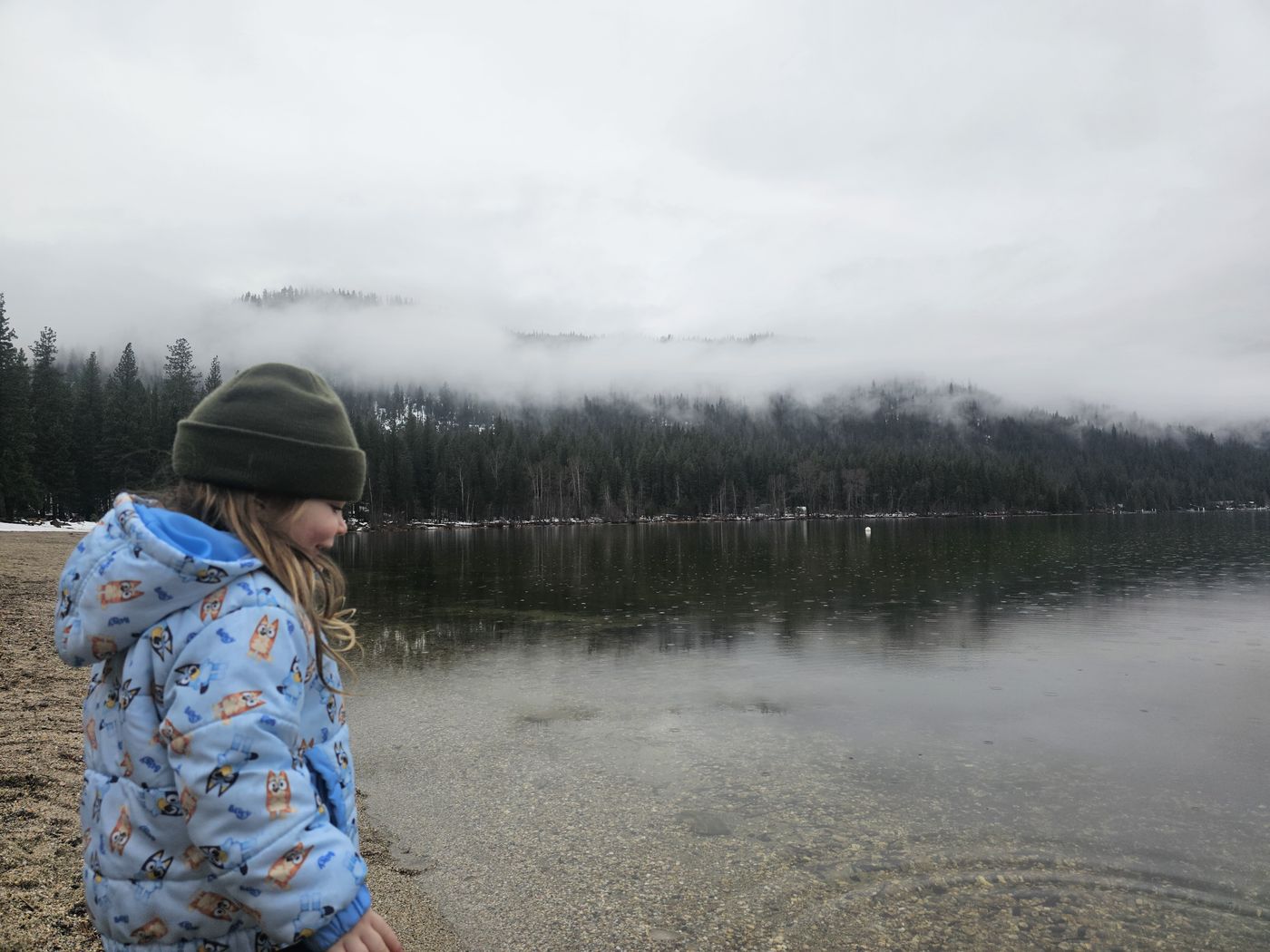 A foggy morning at the lake