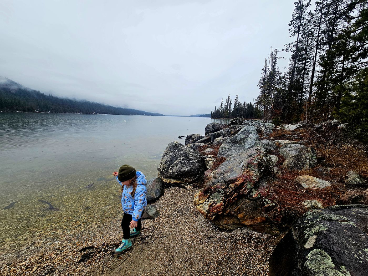 Exploring the lakeshore