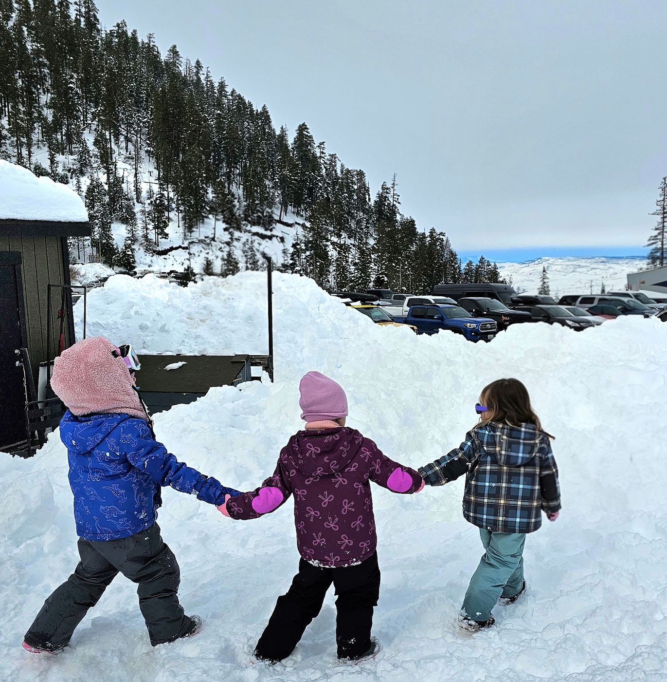 Snow days with friends